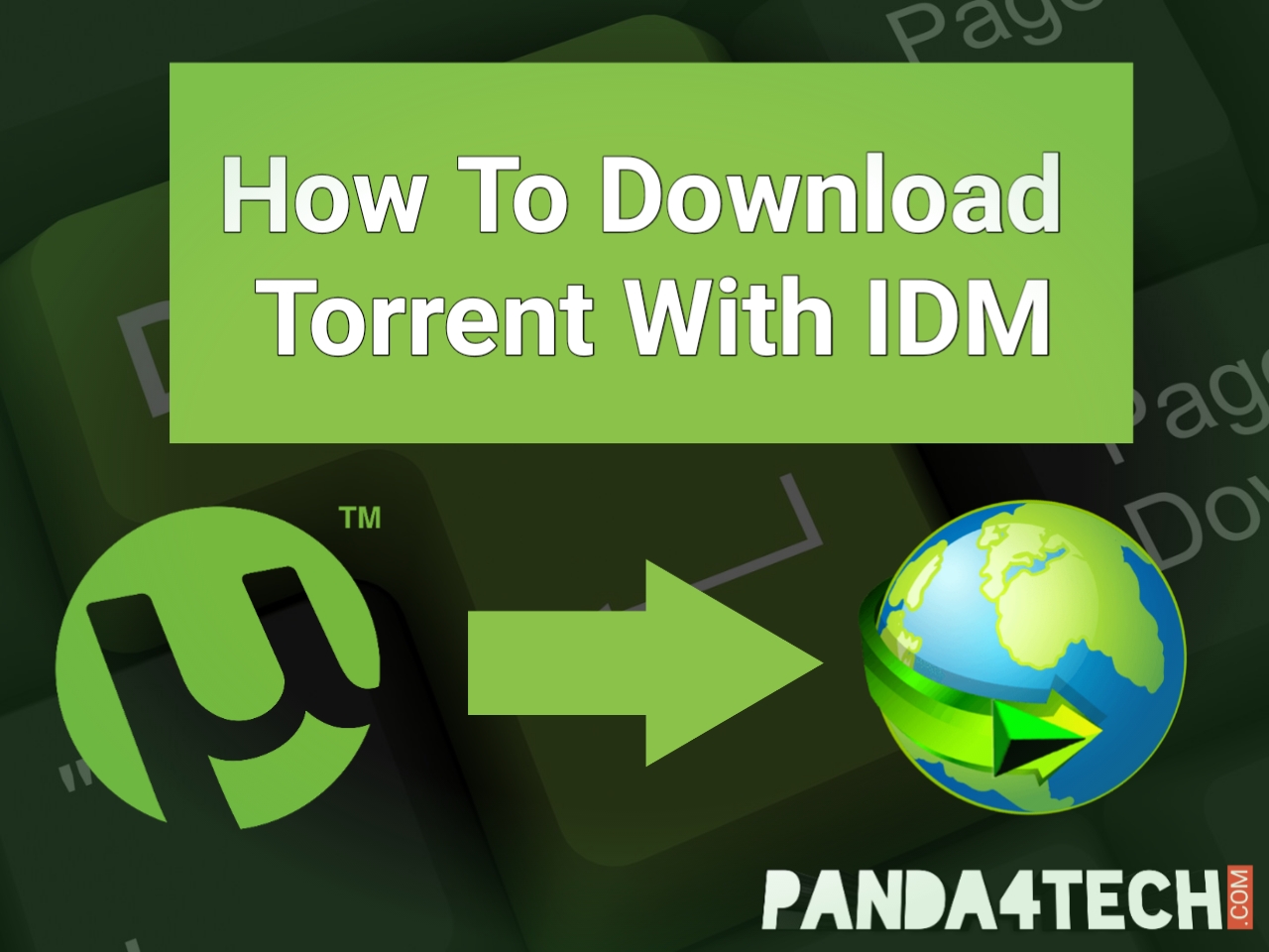 download torrent with idm no limit